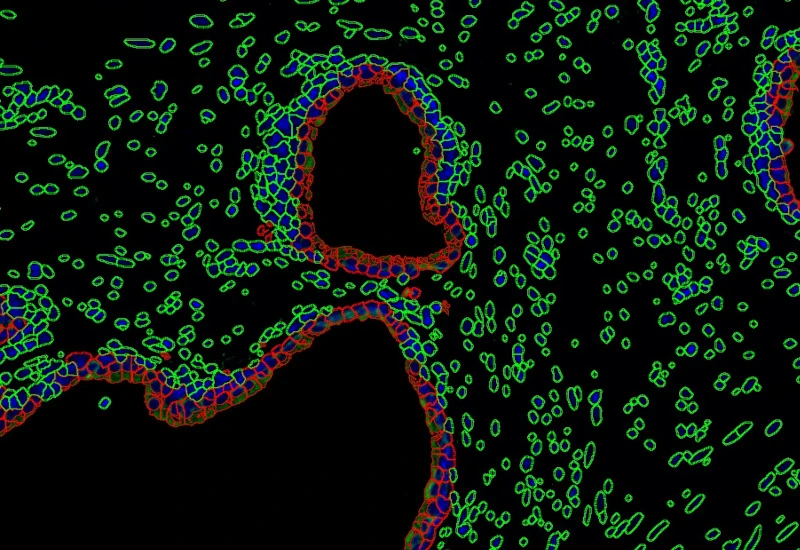 Dynamic Content Image